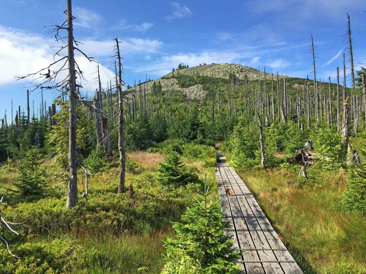 Ferienwohnung Fernblick Neukirchen vorm Wald Kültér fotó